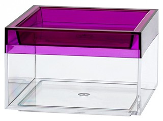 Clear Plastic Display Box Container with Purple Lid Model CC2-P