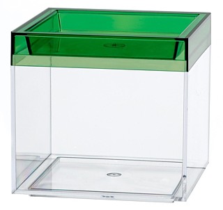 Clear Plastic Display Box Container with Green Lid Model CC3-G