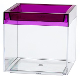 Clear Plastic Display Box Container with Purple Lid Model CC3-P