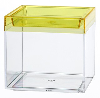 Clear Plastic Display Box Container with Yellow Lid Model CC3-Y