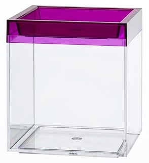 Clear Plastic Display Box Container with Purple Lid Model CC4-P