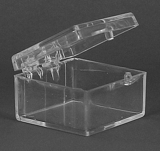 Clear Molded Styrene Plastic 2 Piece Hinged Box Container