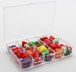 Clear Molded Styrene Plastic 10 Compartment Hinged Box Container