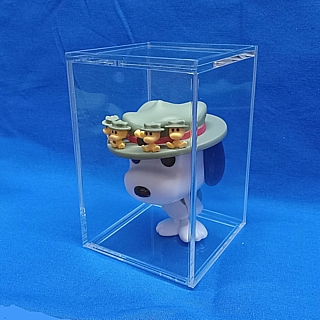 Clear Acrylic Display Case with Sliding Back and Clear Bottom